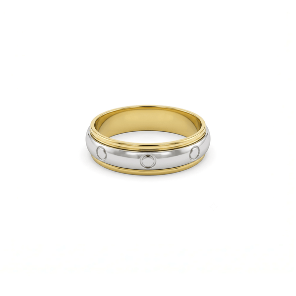 Golden 18K Dual Meridian Band Ring