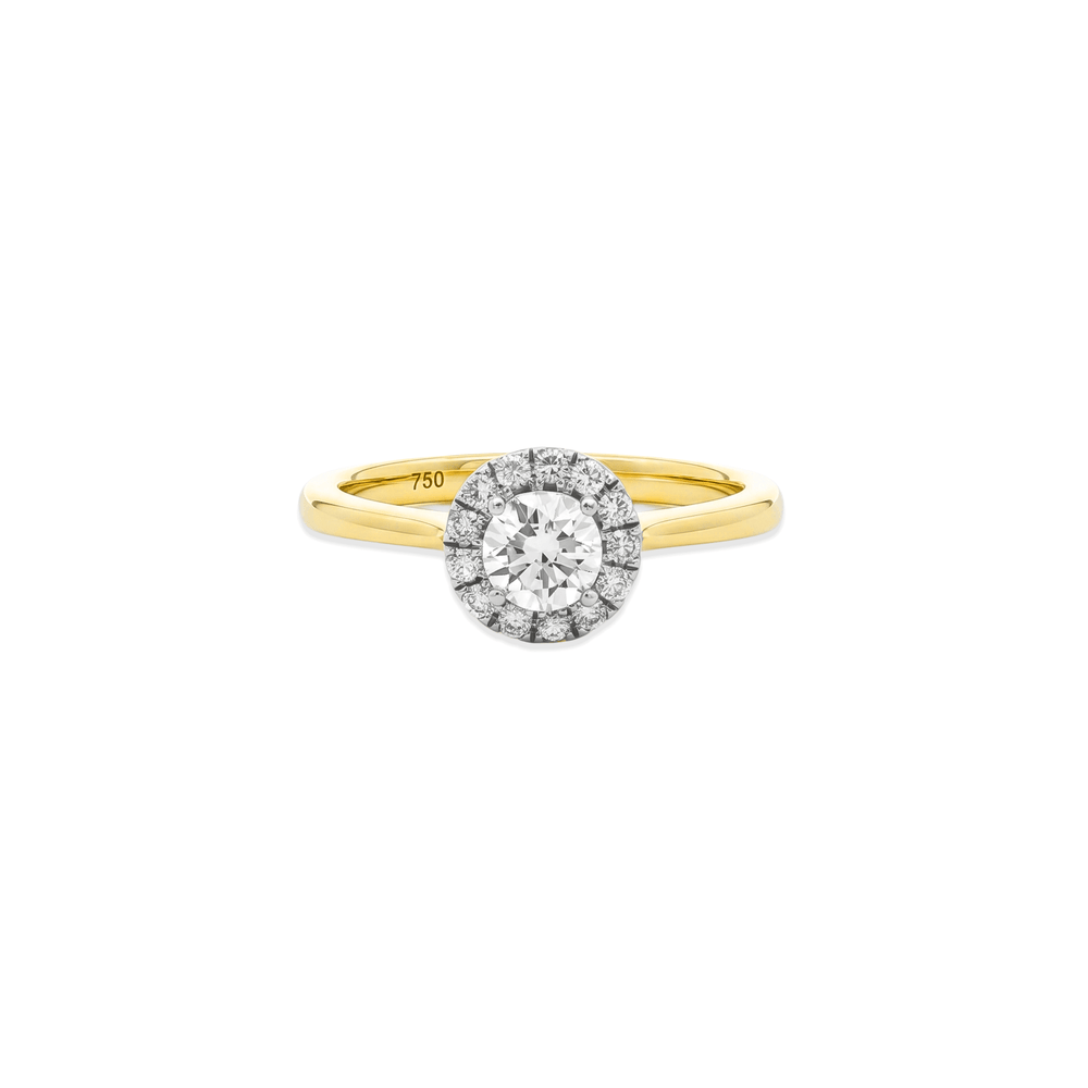 18K Yellow Gold Natural Diamond Halo Engagement Ring