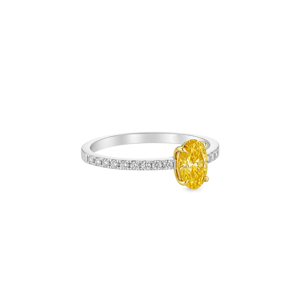 Lab Grown Diamond Pavé Engagement Ring in 14K White Gold