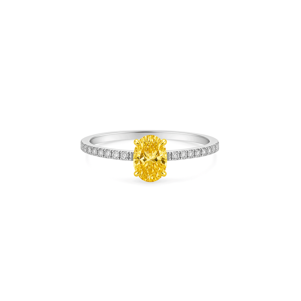 Lab Grown Diamond Pavé Engagement Ring in 14K White Gold