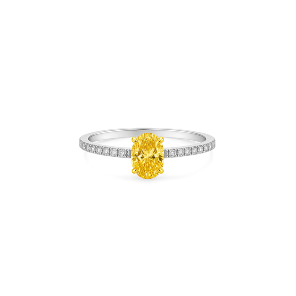 Lab Grown Diamond Pavé Engagement Ring in 14K White Gold