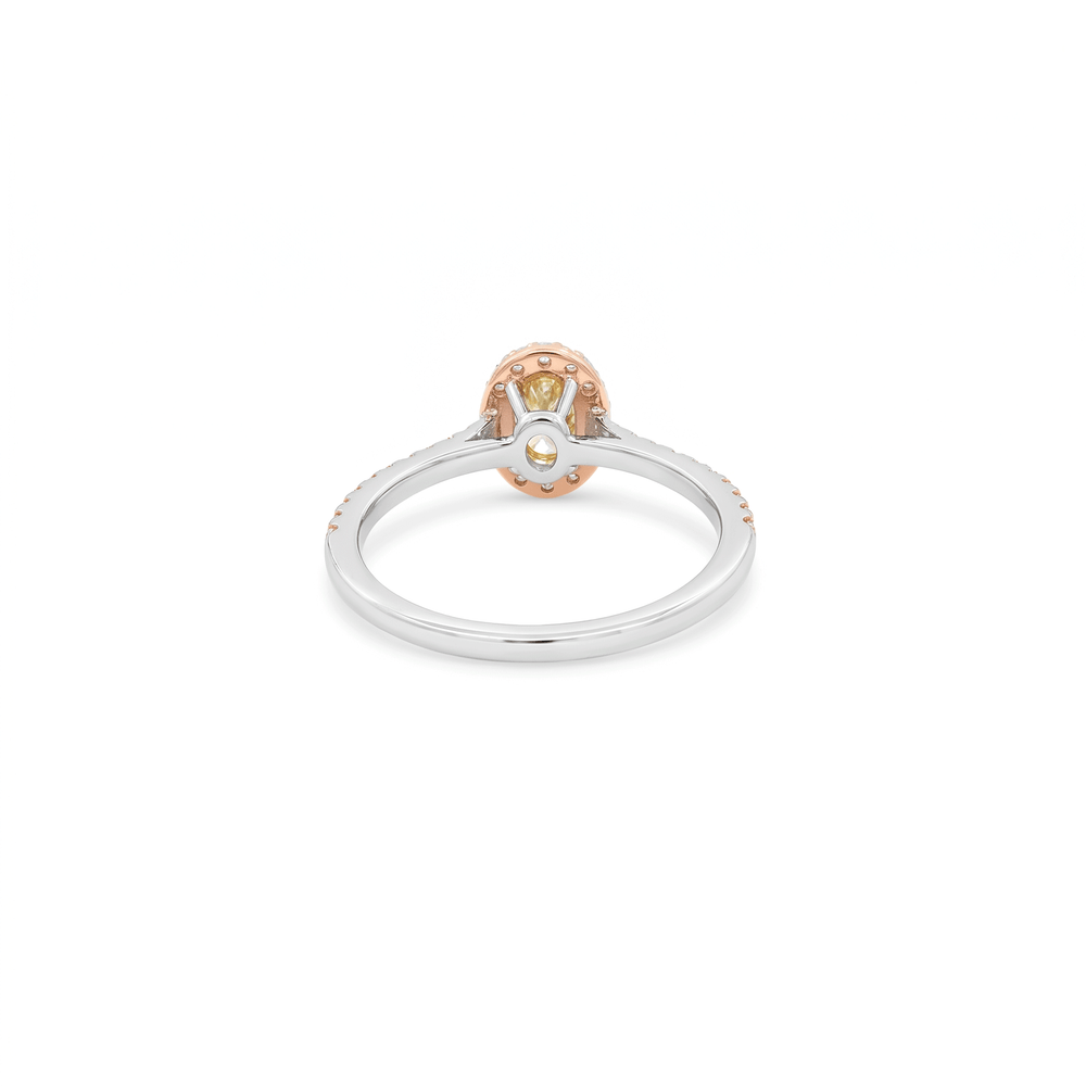14K White Gold Lab Grown Diamond Halo Engagement Ring