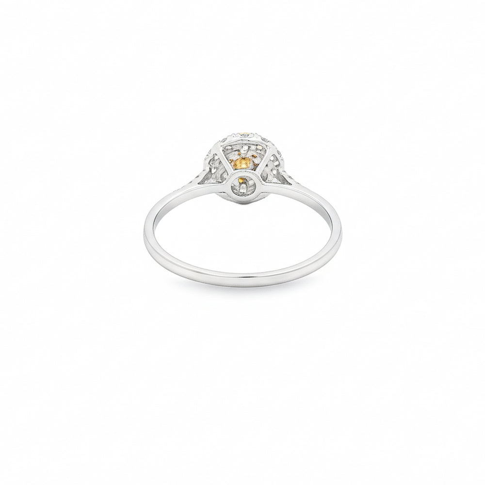 Natural Diamond Halo Engagement Ring – 18K White Gold