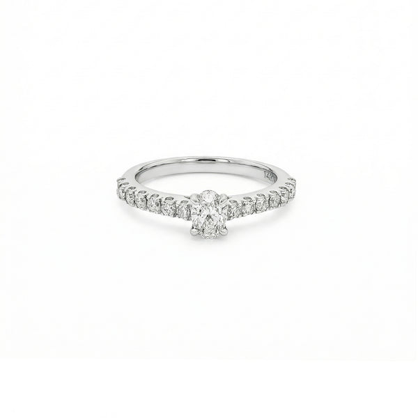 Lab Grown Diamond Pave Engagement Ring | Flashy Jewellery
