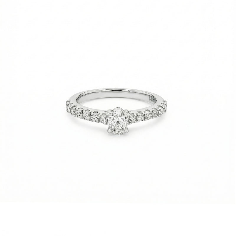 Lab Grown Diamond Pave Engagement Ring | Flashy Jewellery