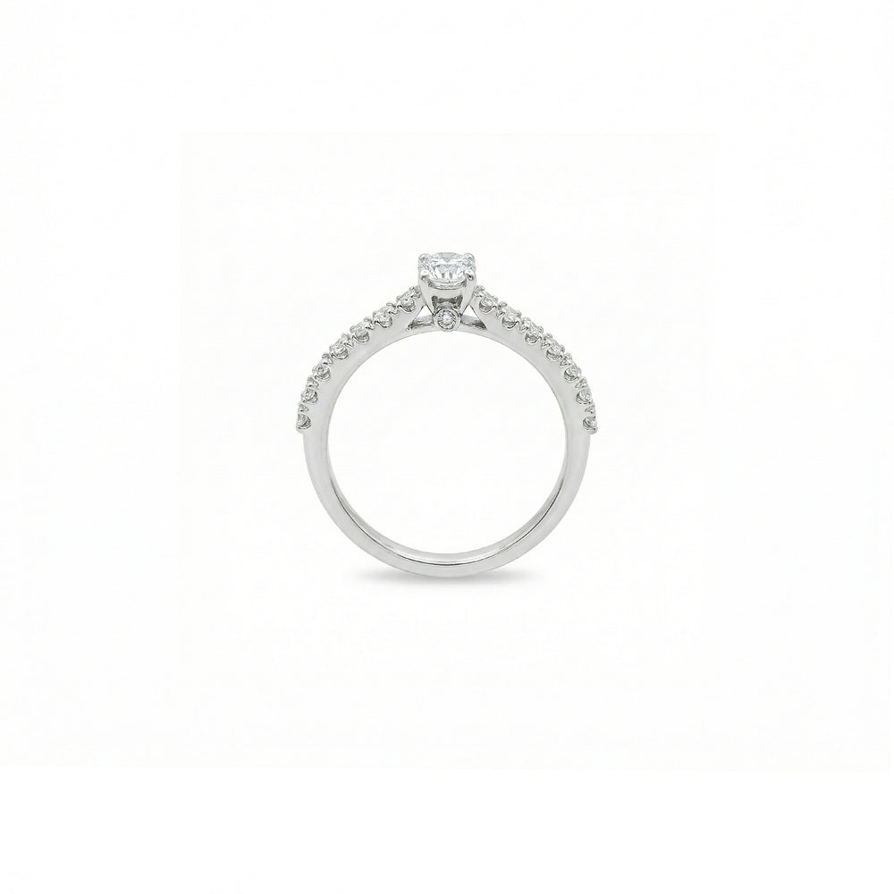 Lab Grown Diamond Pave Engagement Ring | Flashy Jewellery