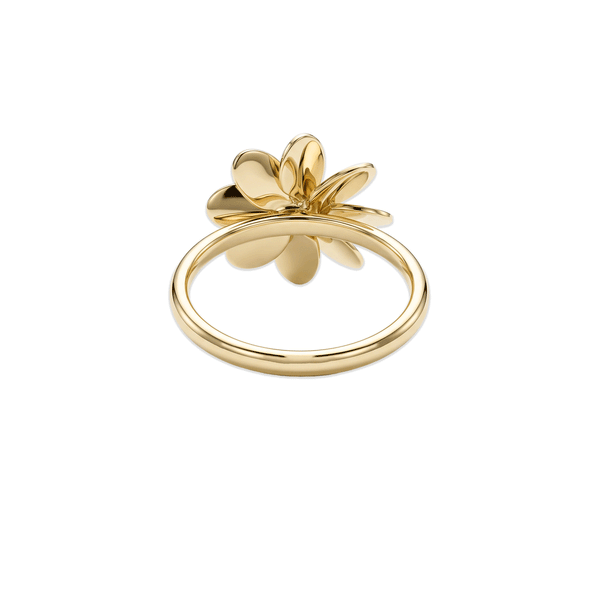 Gold Jewellery Golden Helios Bloom Ring hover